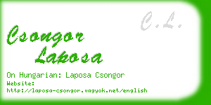 csongor laposa business card